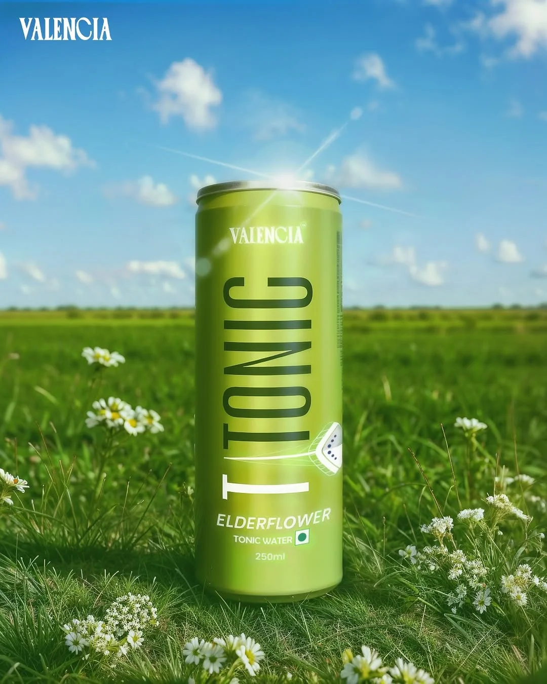 Titonic Elderflower Insta