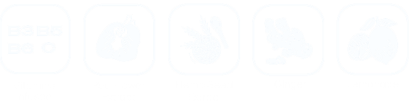 Lime Leezure Range Features